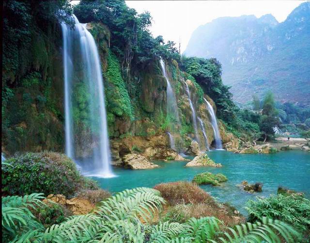 Вьетнам из Алматы